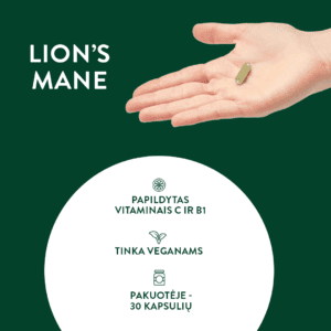 liūto karčiai grybas