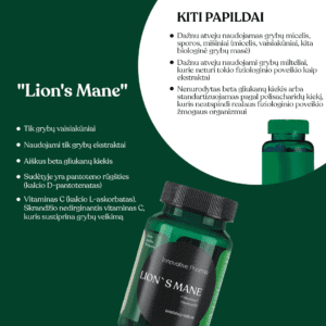lion's mane grybu papildų nauda